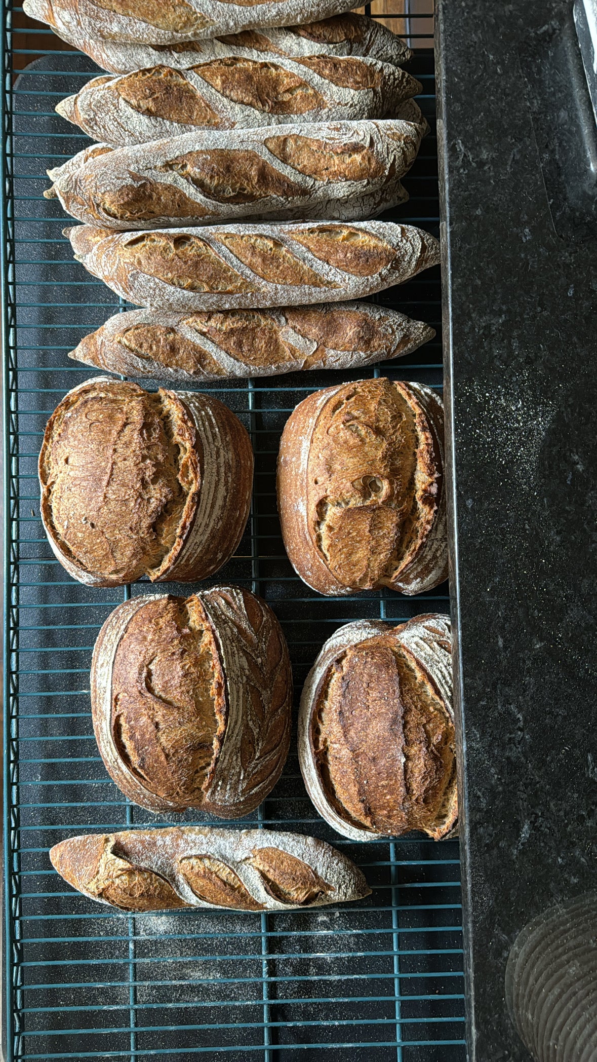 Country Loaf